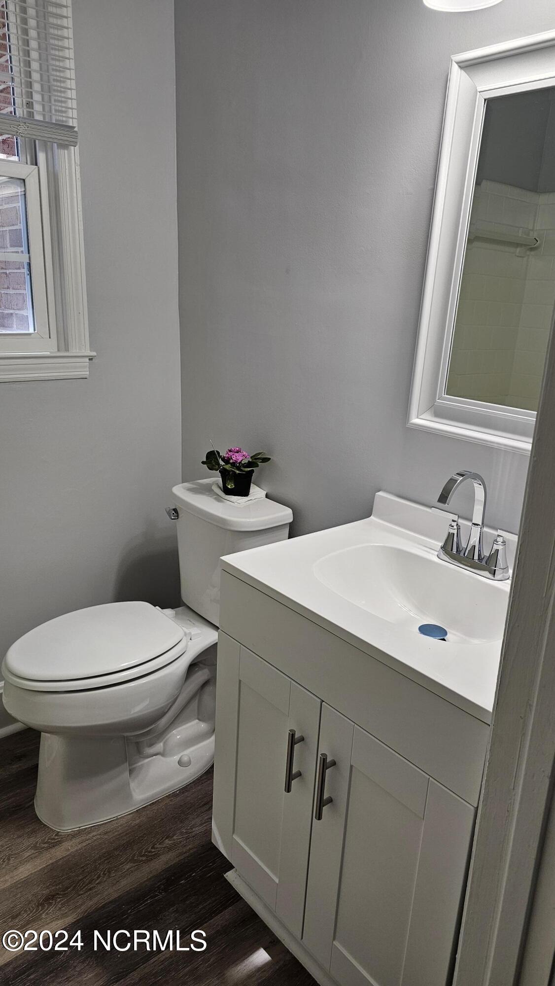 84 Christmas Road Enfield, NC 27823 - Photo 12 of 19 12 - Bathroom