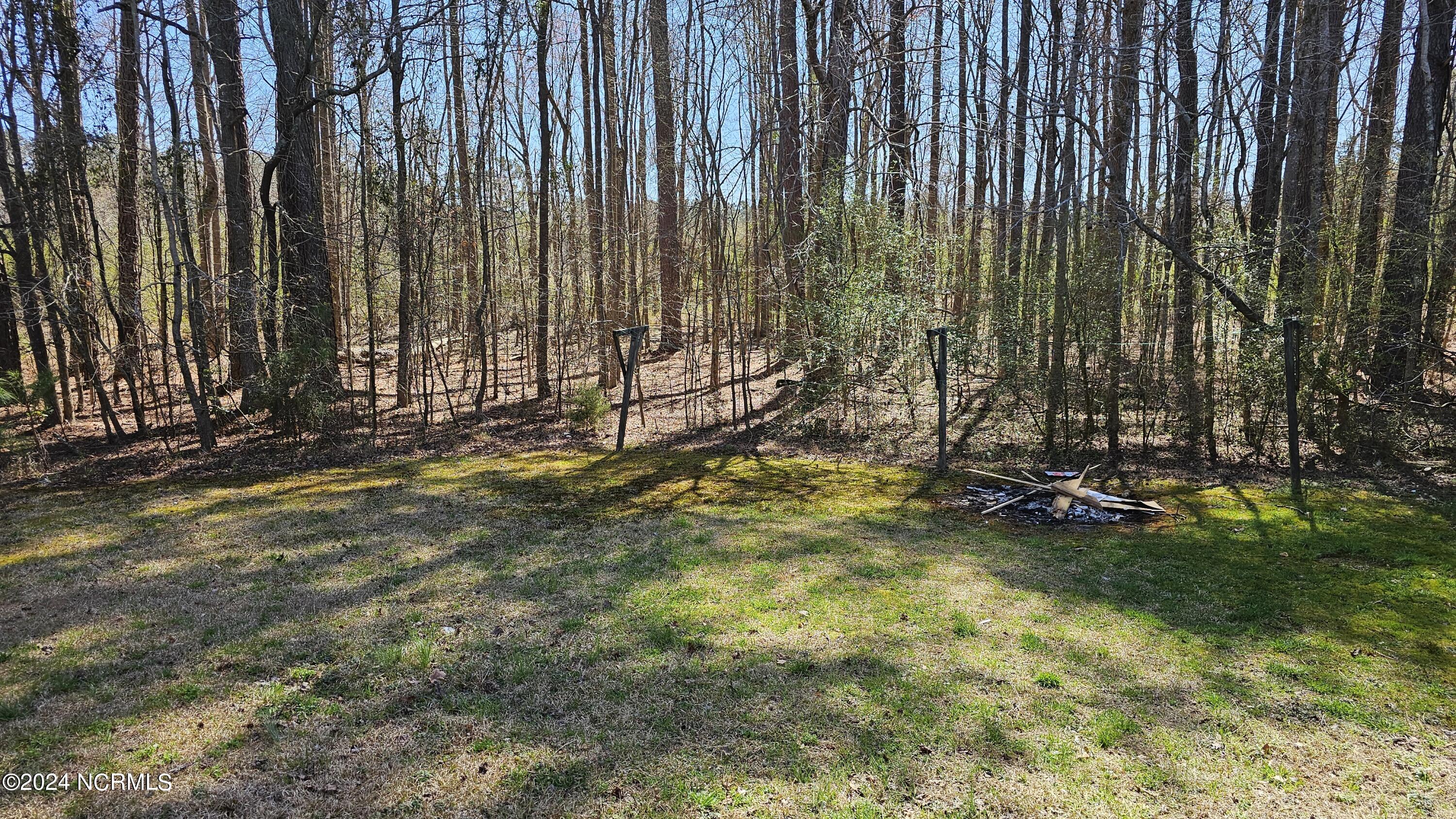 84 Christmas Road Enfield, NC 27823 - Photo 18 of 19 18 - Backyard View