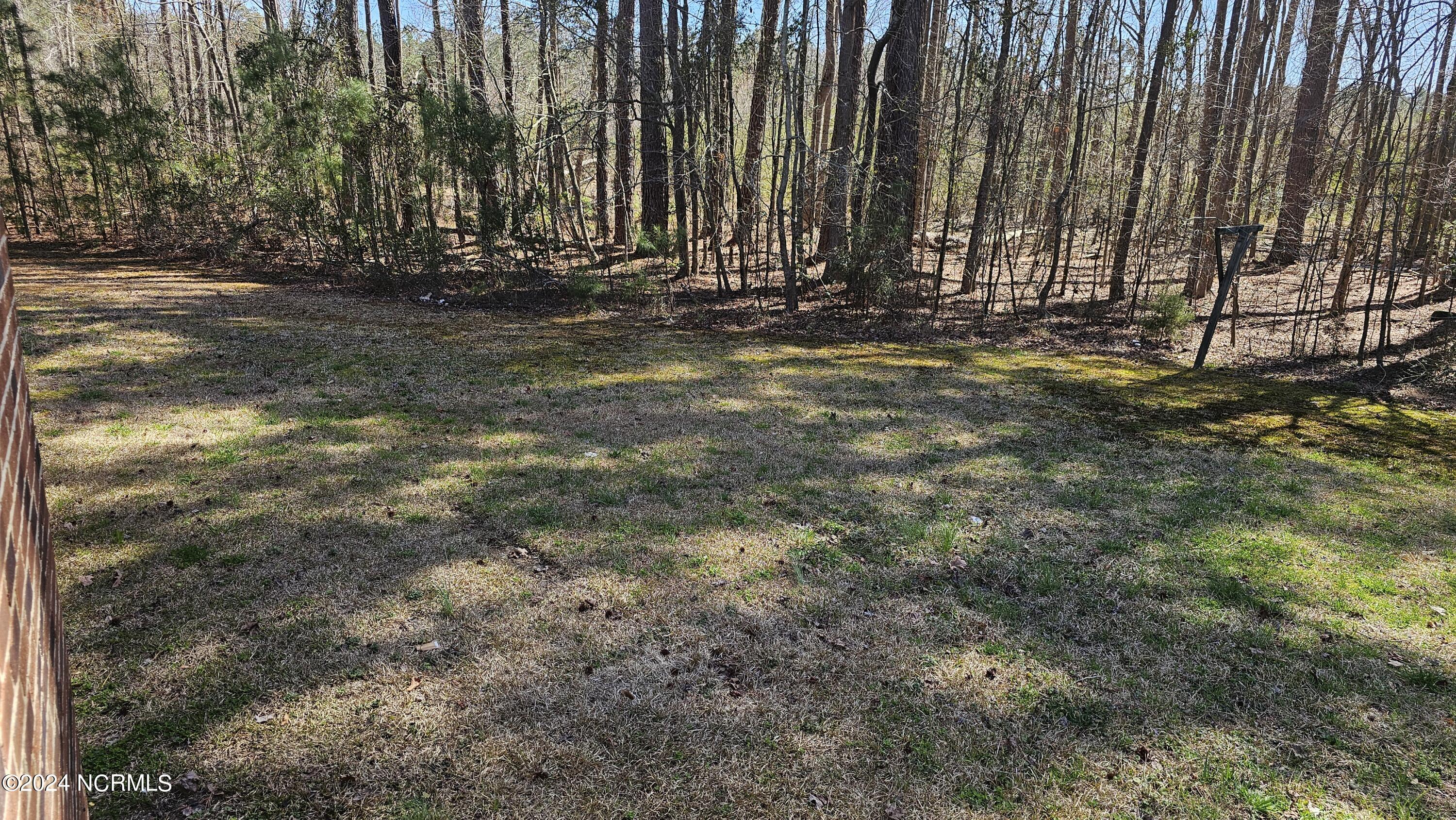 84 Christmas Road Enfield, NC 27823 - Photo 19 of 19 19 - Backyard Left