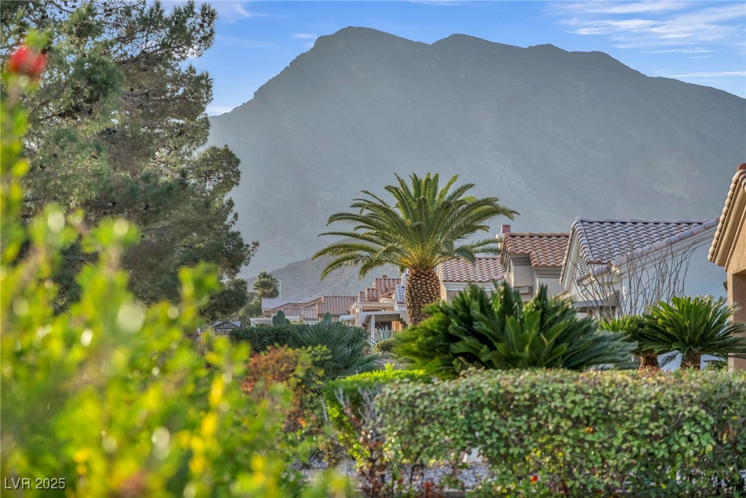9917 Villa Ridge Drive Las Vegas, NV 89134 - Photo 62 of 71