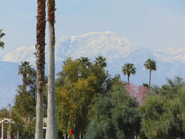 a view of a golf course with a lake