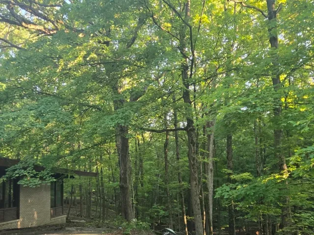 $139,900 | 48 Woodland Glen, Park Forest, IL 60466