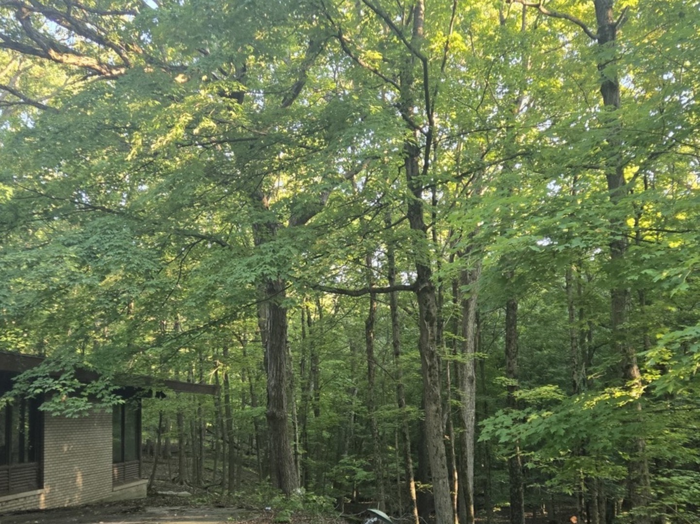 48 Woodland Glen Park Forest, IL 60466 - Photo 15 of 16