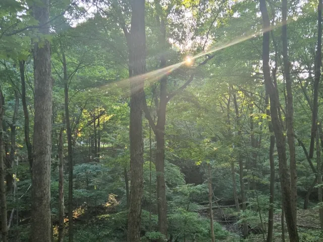 $139,900 | 48 Woodland Glen, Park Forest, IL 60466