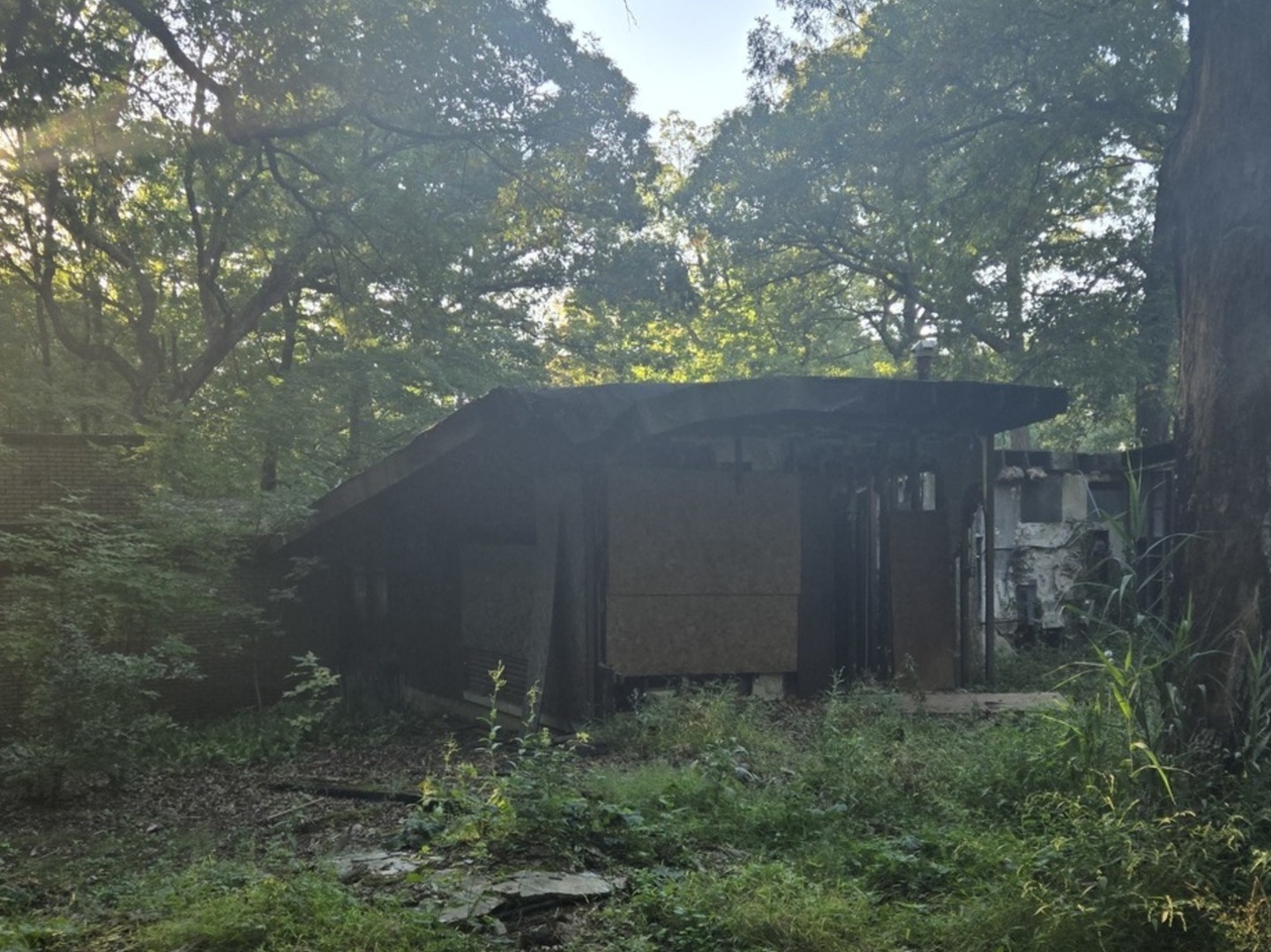 48 Woodland Glen Park Forest, IL 60466 - Photo 9 of 16