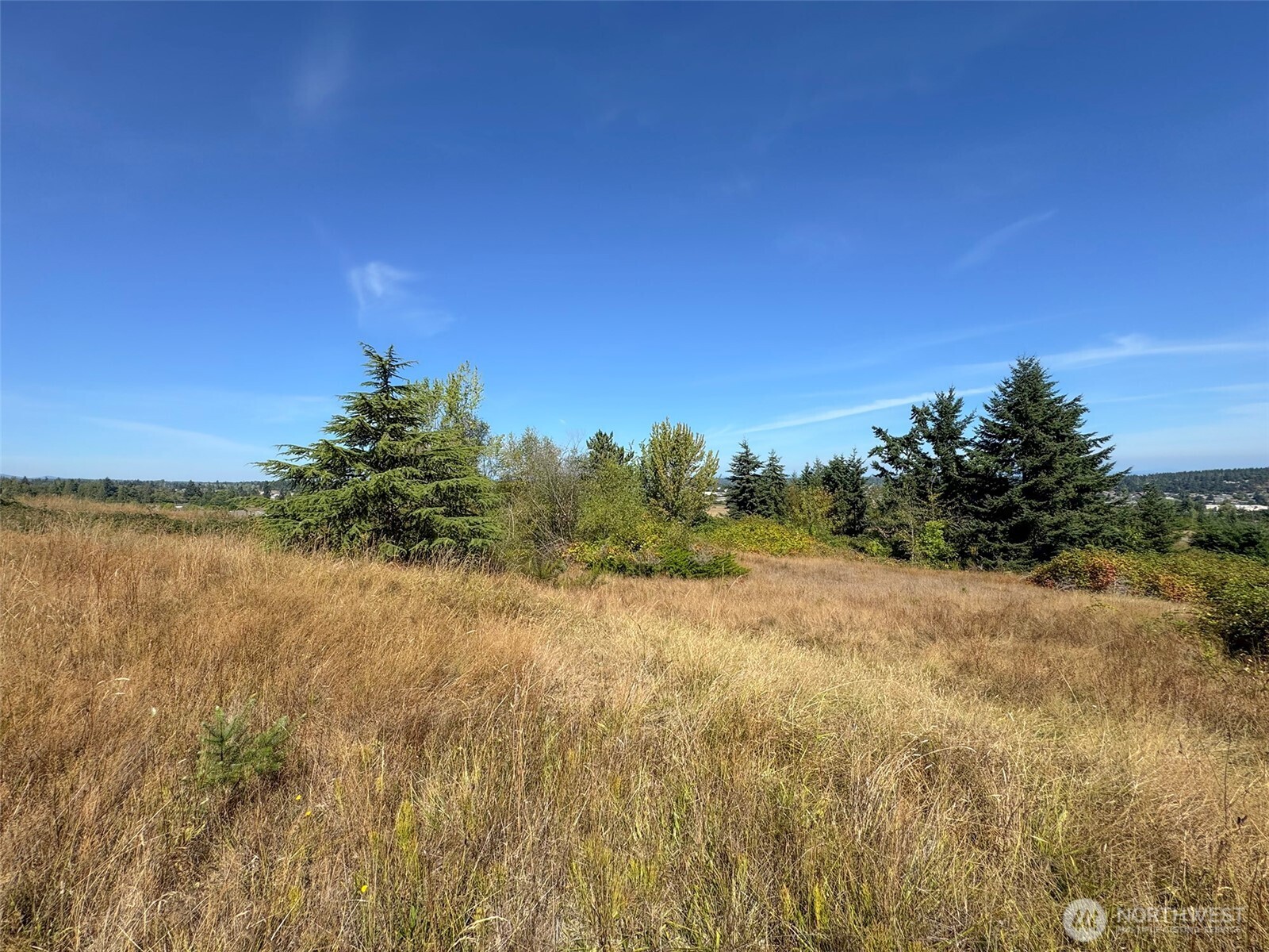 463 Miller Road Sequim, WA 98382 - Photo 21 of 39