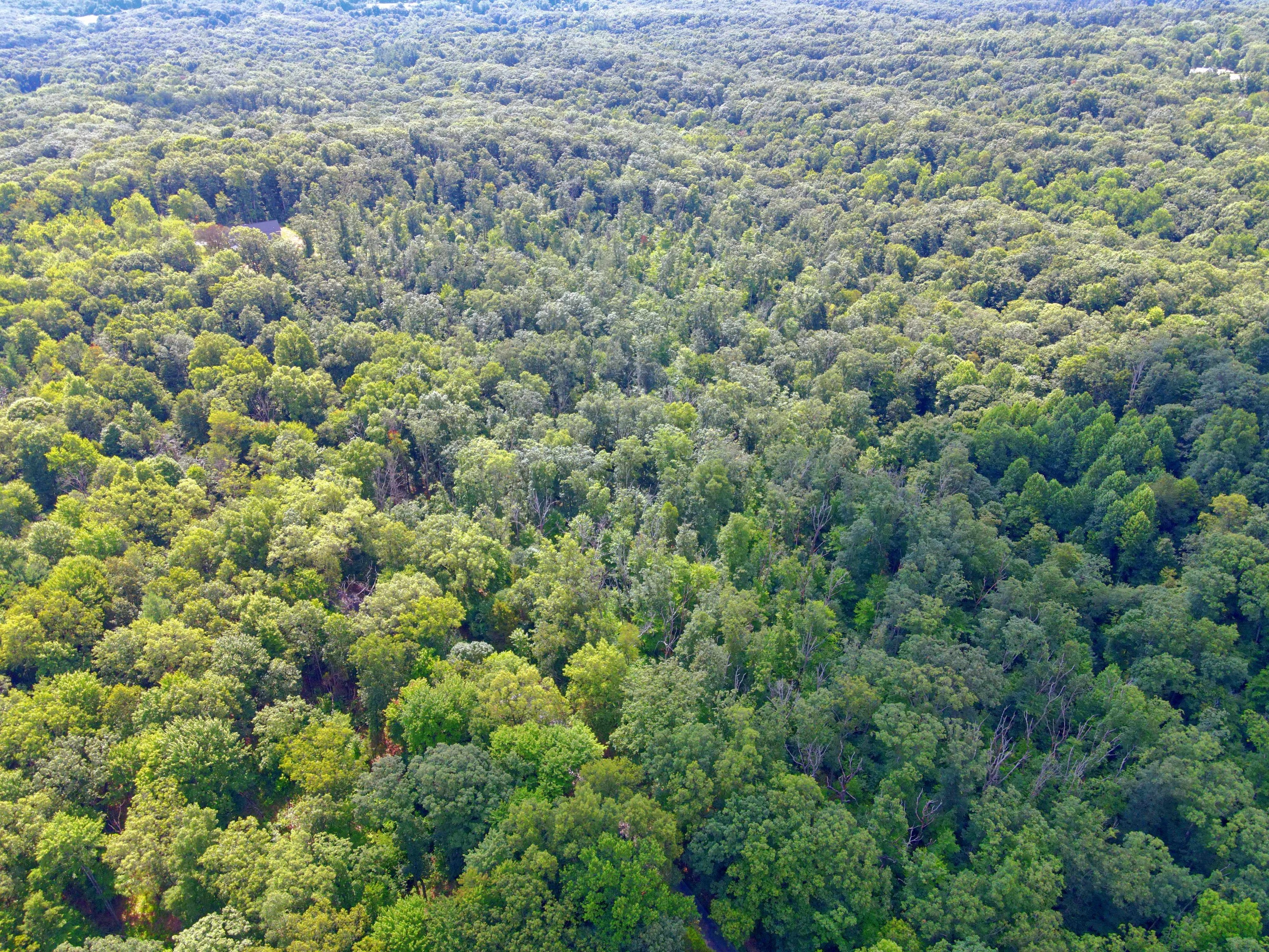 W Becks Grove Road Columbus, IN 47201 - Photo 1 of 2