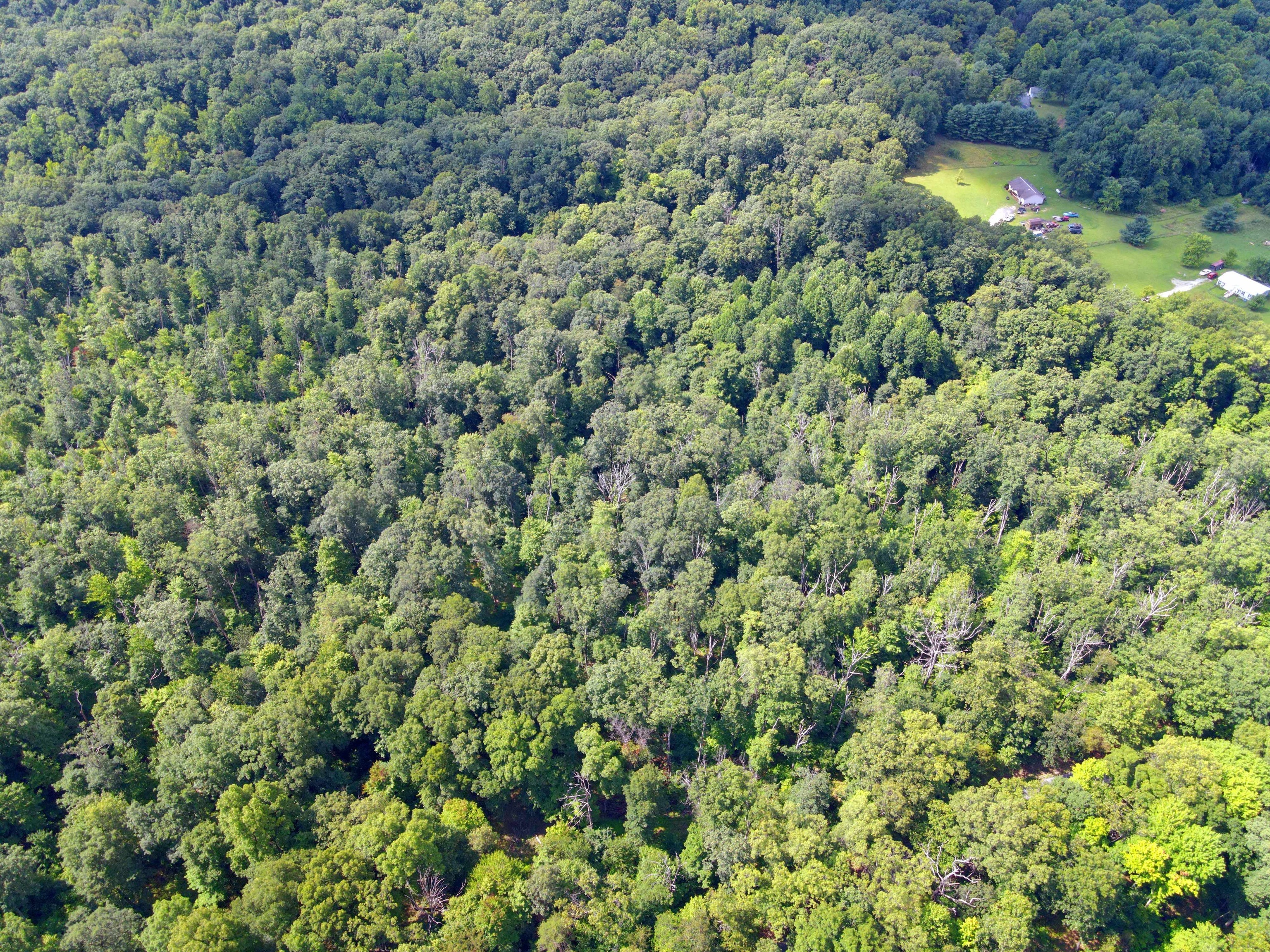 W Becks Grove Road Columbus, IN 47201 - Photo 2 of 2