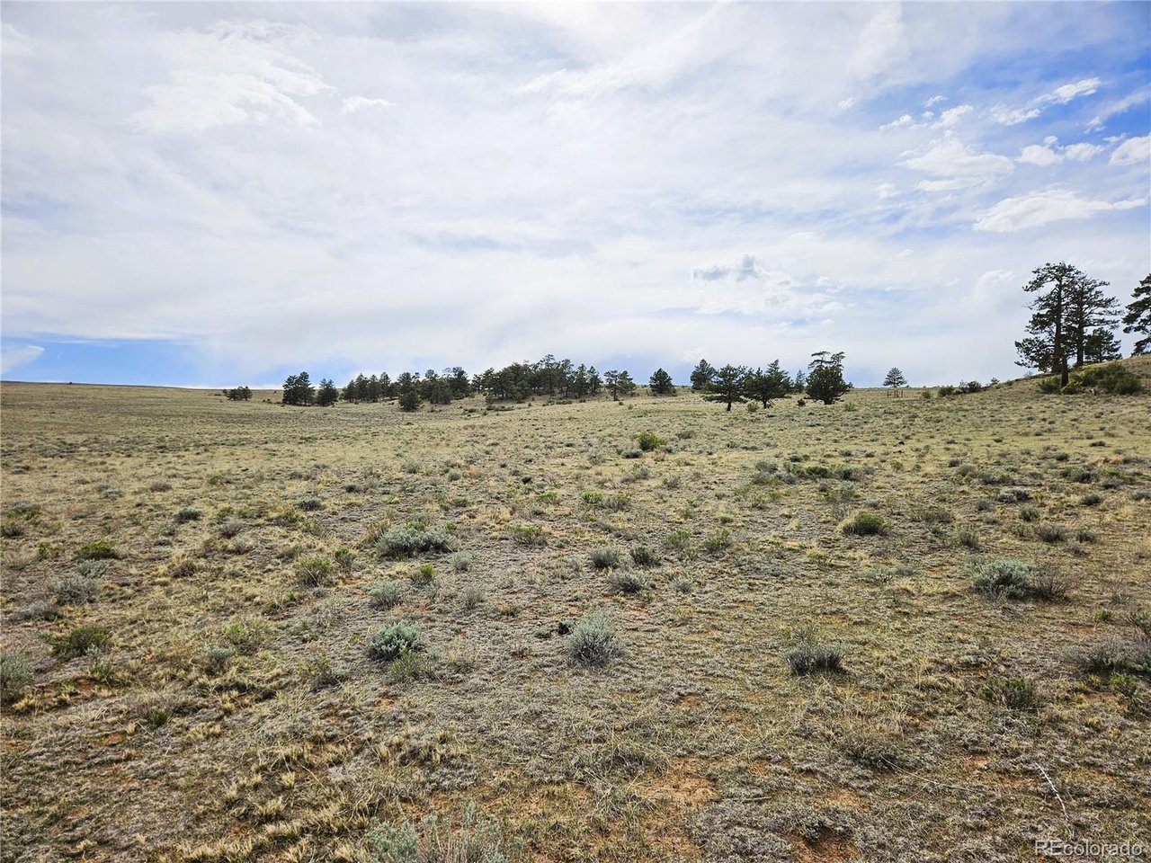 24131 Chato Road Hartsel, CO 80449 - Photo 27 of 28