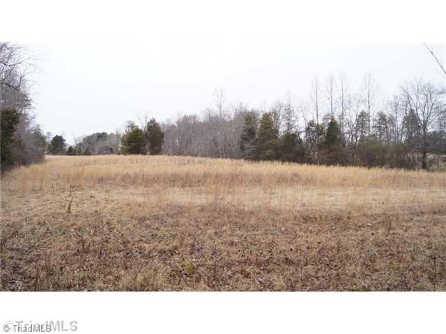 1440 Hope Beasley Road Sandy Ridge, NC 27046 - Photo 3 of 4 Land.