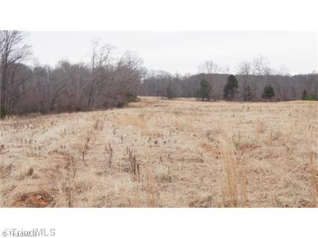 1440 Hope Beasley Road Sandy Ridge, NC 27046 - Photo 4 of 4 Land.