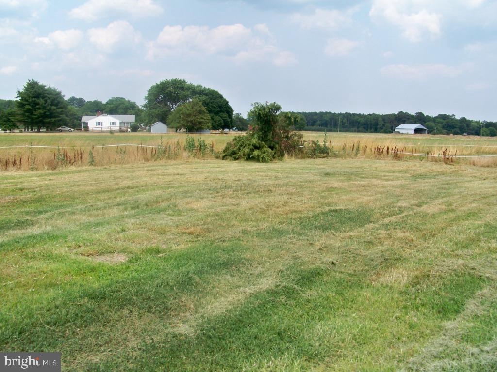 1756 Cedar Hall Road Pocomoke City, MD 21851 - Photo 2 of 11 Gallery Image 2