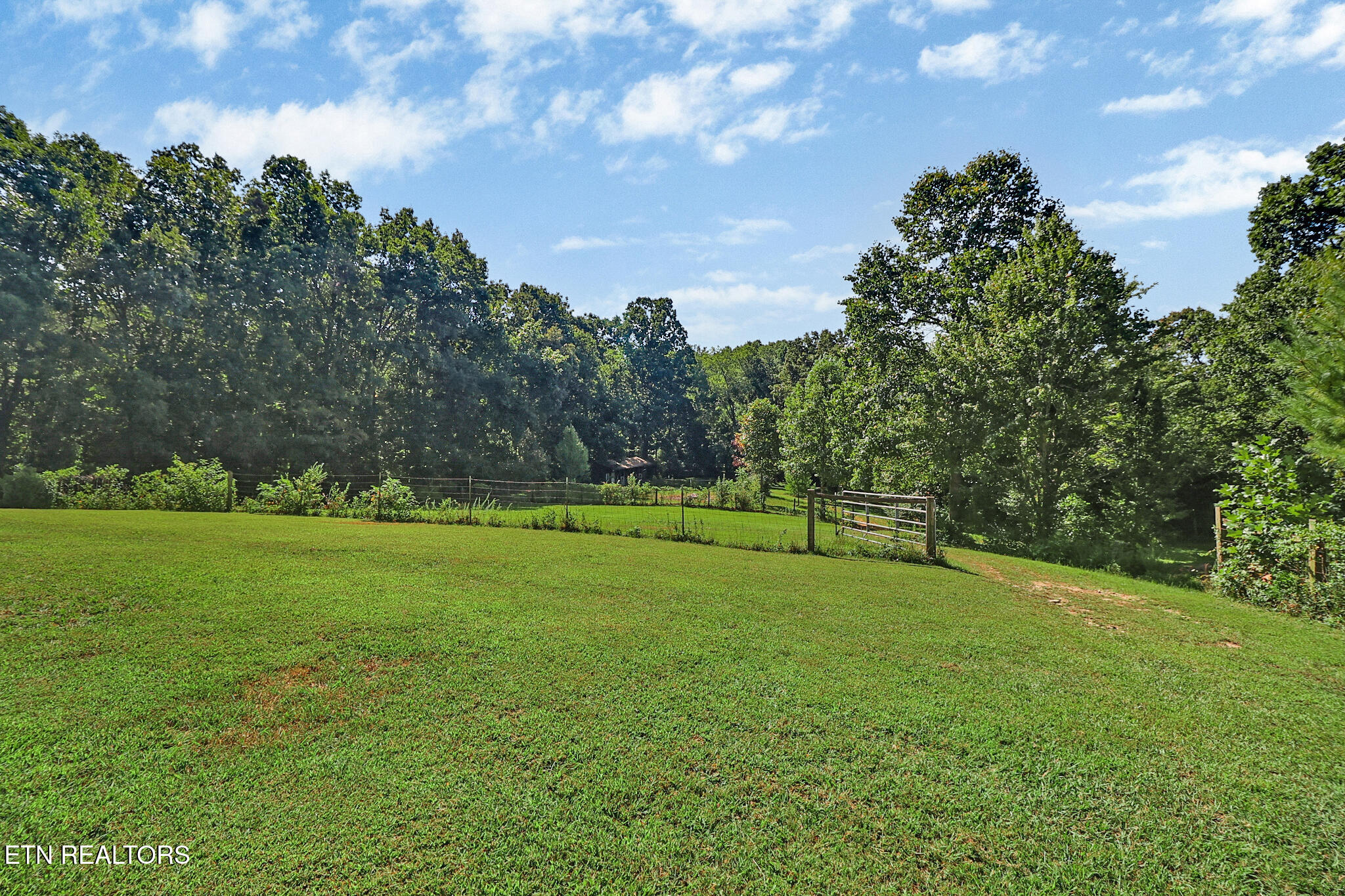 3639 Lantana Road Crossville, TN 38572 - Photo 19 of 42 Pastures