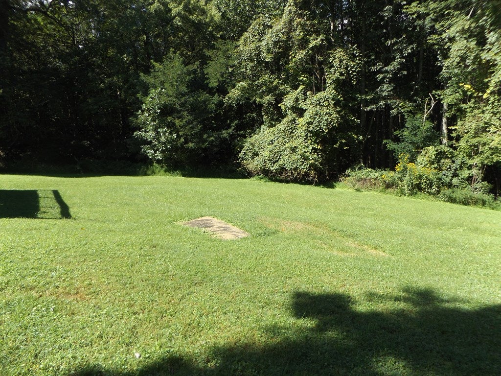 291 Laurel Fork Road Laurel Fork, VA 24352 - Photo 20 of 28 Gallery Image 20