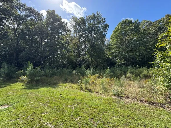 $29,900 | Lot 3 Branch Road, Unit 3B, Temperanceville, VA 23442