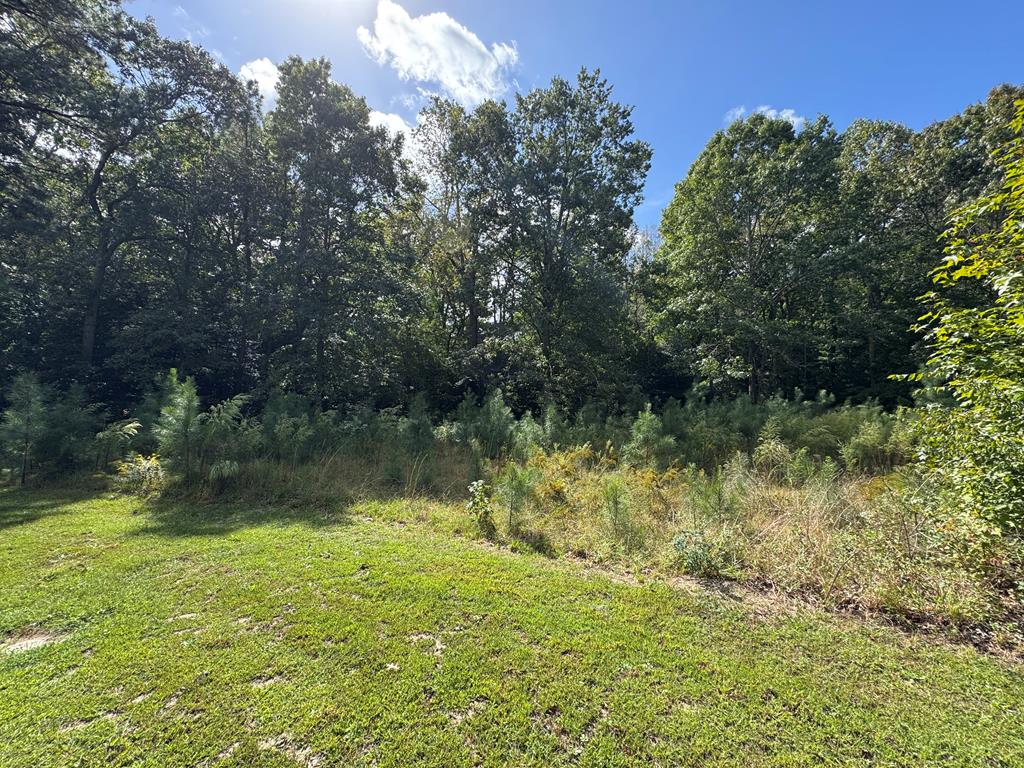 Lot 3 Branch Road, Unit 3B Temperanceville, VA 23442 - Photo 1 of 4