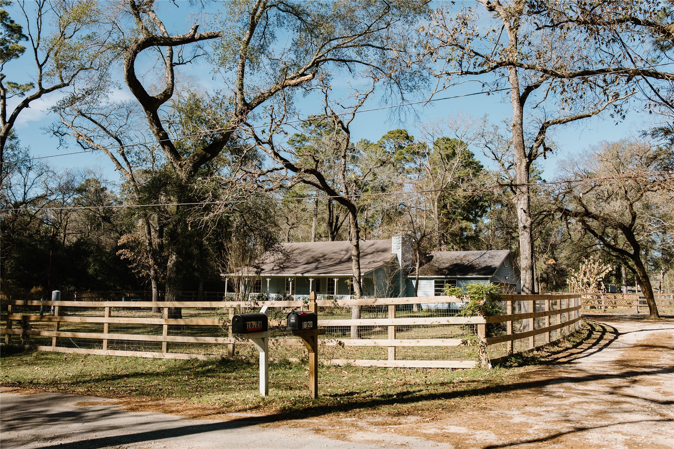 16120 Hartman Road Magnolia, TX 77355 - Photo 3 of 41 a view of a yard with wooden fence and trees