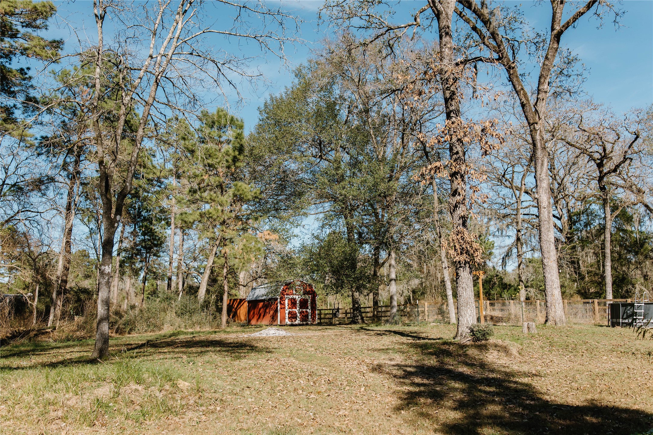 16120 Hartman Road Magnolia, TX 77355 - Photo 31 of 41 a view of a town with large trees
