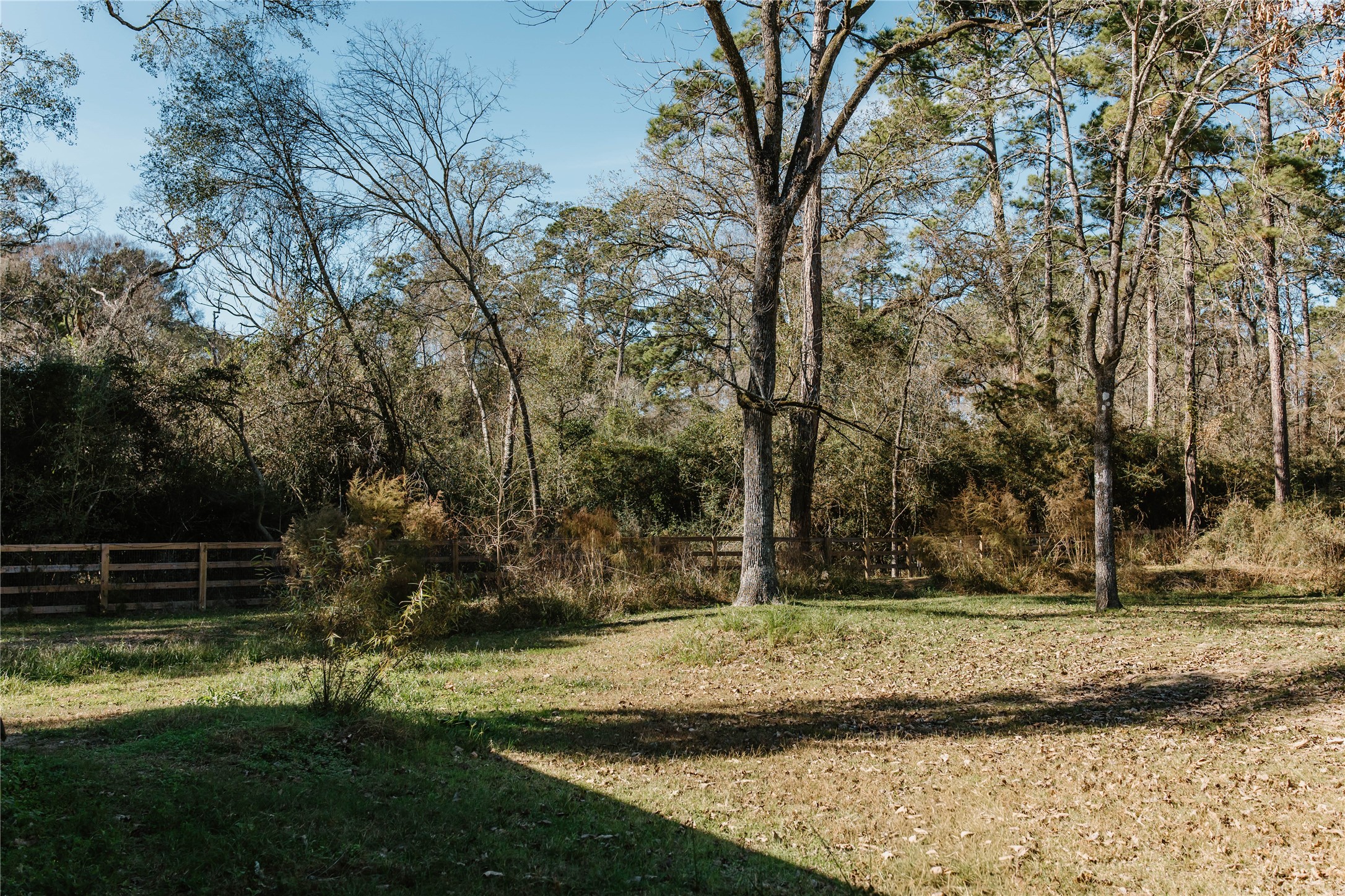 16120 Hartman Road Magnolia, TX 77355 - Photo 35 of 41