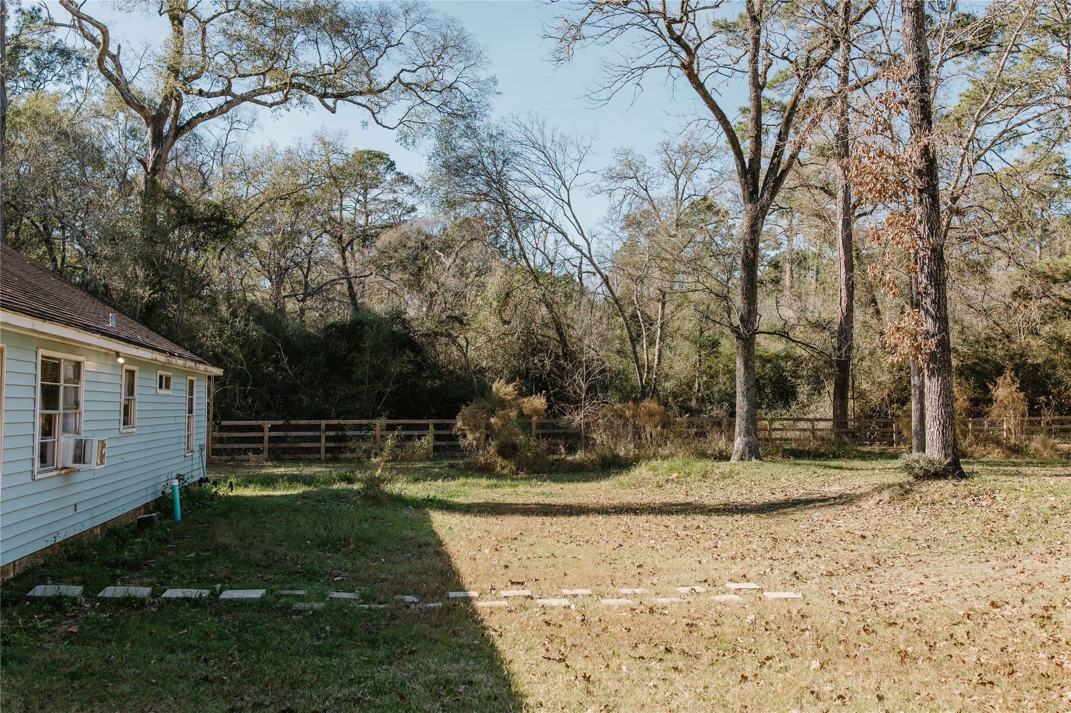 16120 Hartman Road Magnolia, TX 77355 - Photo 36 of 41 a view of a yard with plants and trees