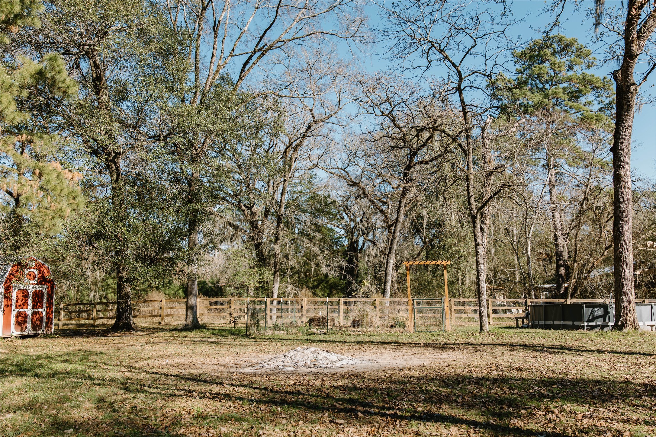 16120 Hartman Road Magnolia, TX 77355 - Photo 37 of 41 a view of a yard with large trees