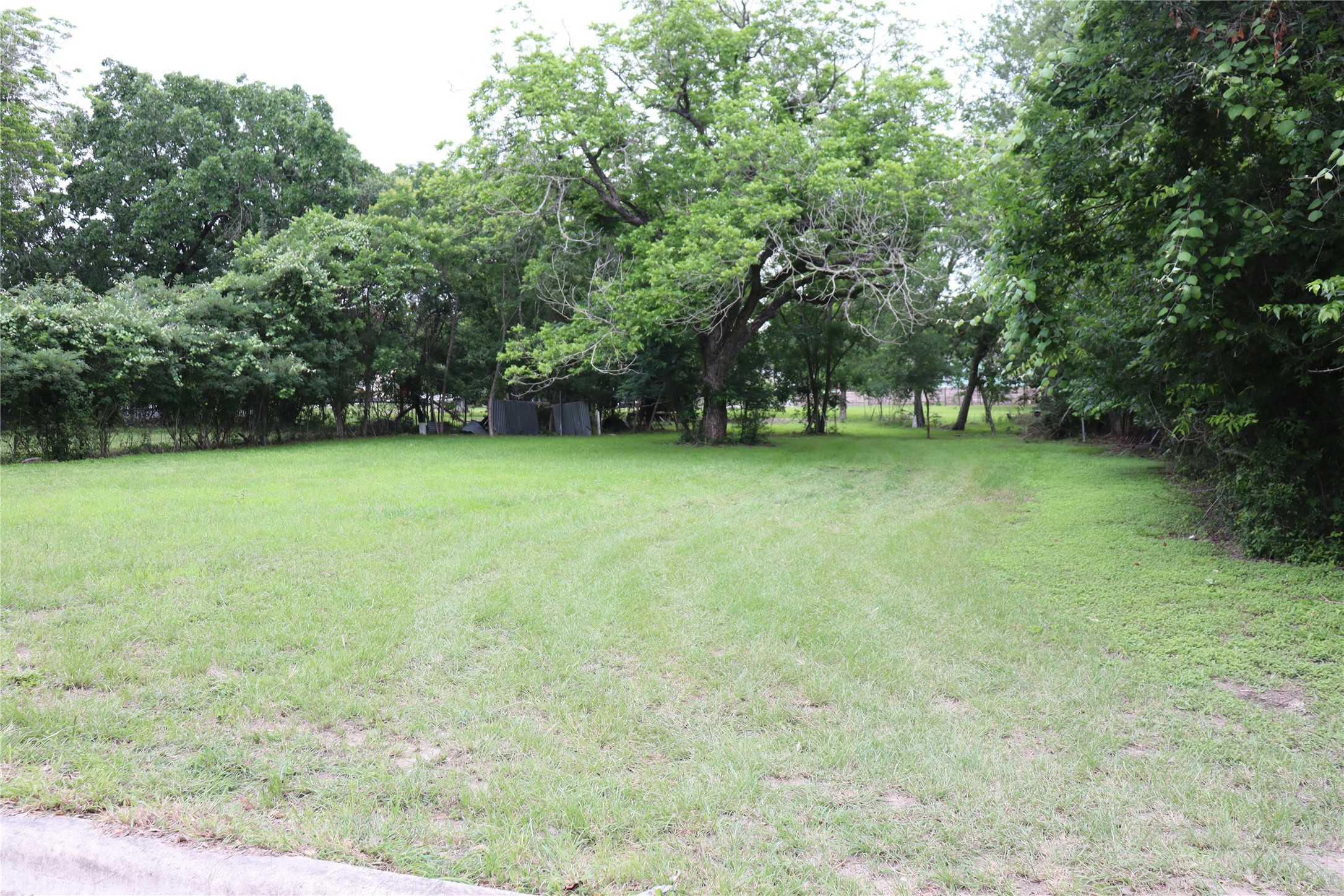 1006 Johnson Street Lockhart, TX 78644 - Photo 4 of 10 Expansive lot featuring a wide expanse of green lawn, mature trees along the perimeter, and dense natural foliage