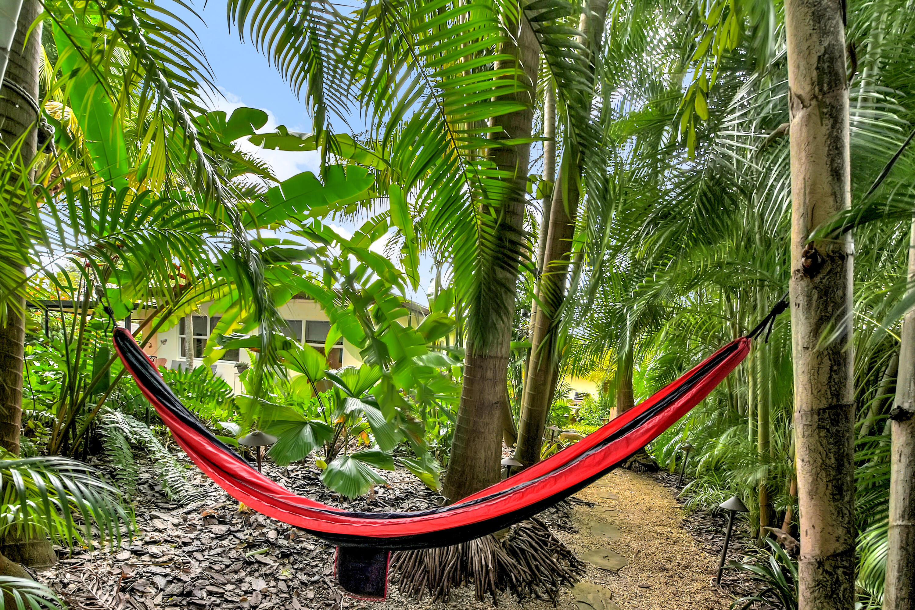 4201 Fillmore Street Hollywood, FL 33021 - Photo 15 of 27 Backyard