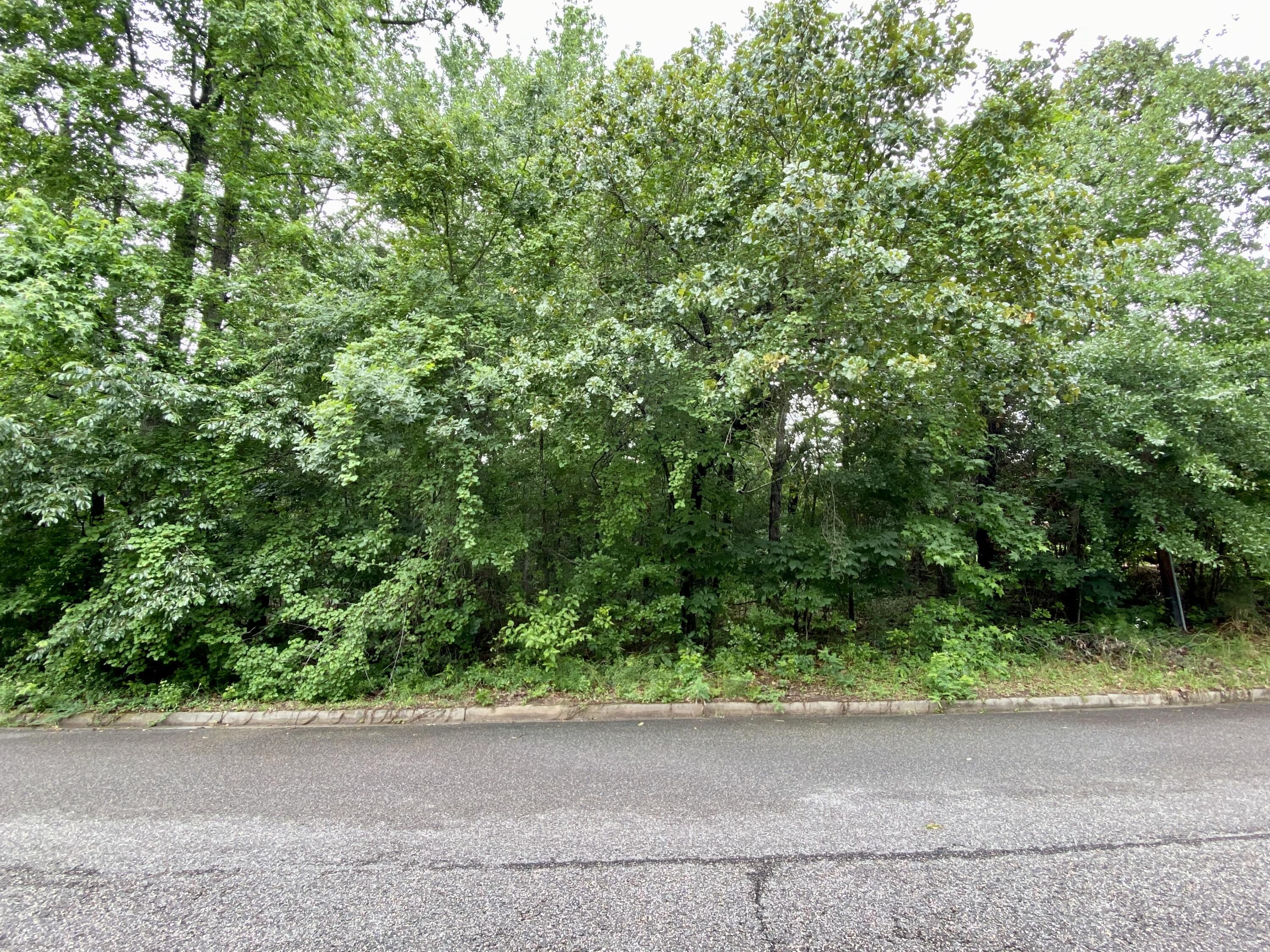 3915 Barrett Street Augusta, GA 30909 - Photo 2 of 5 Lot Picture 2