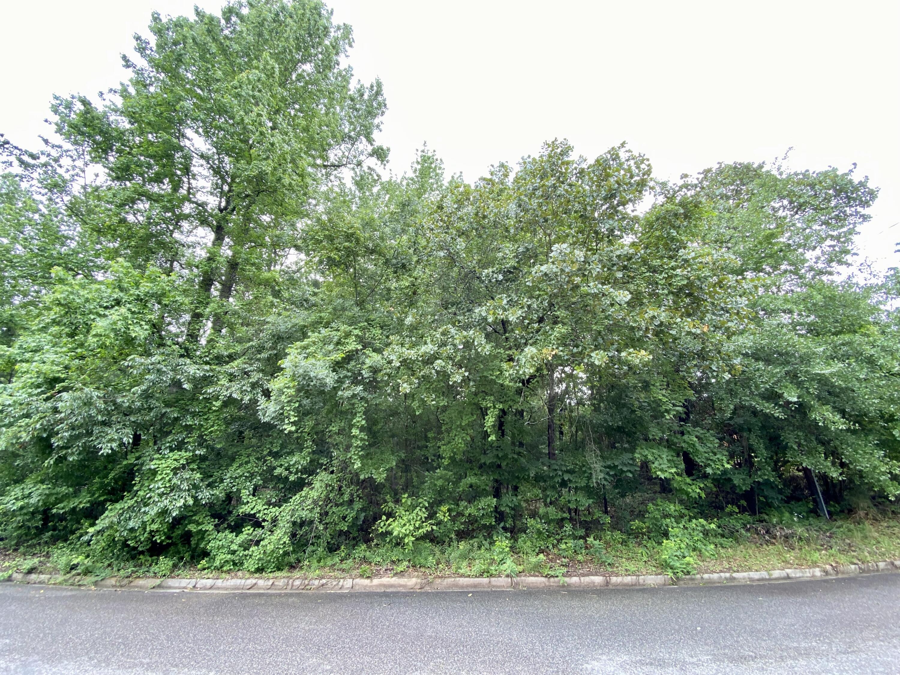 3915 Barrett Street Augusta, GA 30909 - Photo 3 of 5 Lot Picture 3