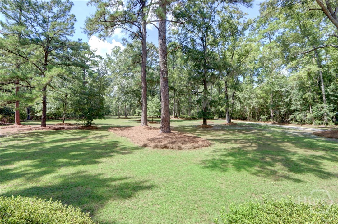 143 Hardy Road Rincon, GA 31326 - Photo 11 of 55