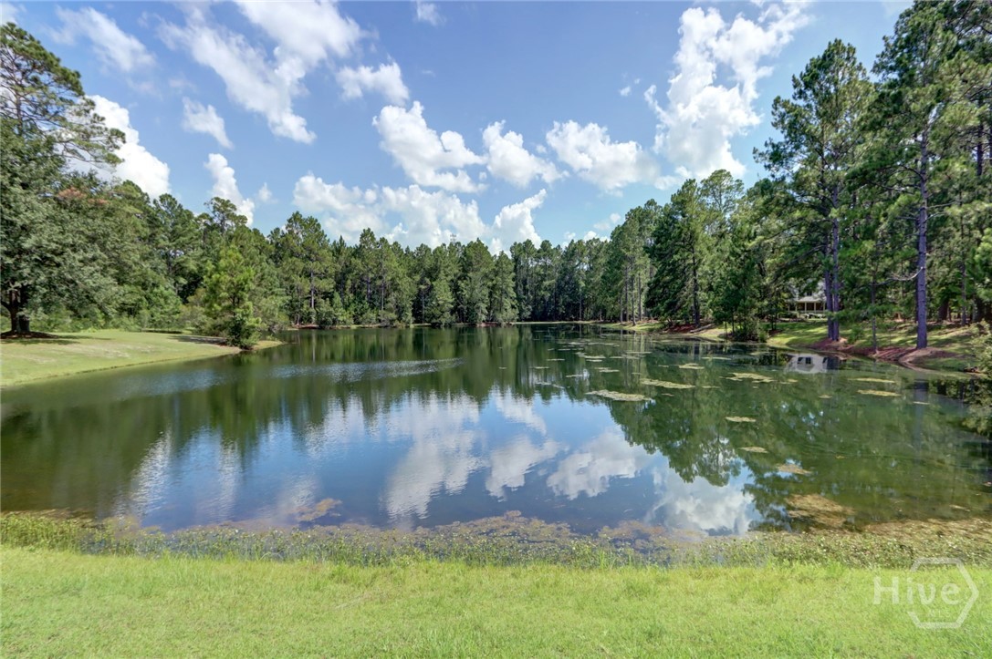 143 Hardy Road Rincon, GA 31326 - Photo 4 of 55