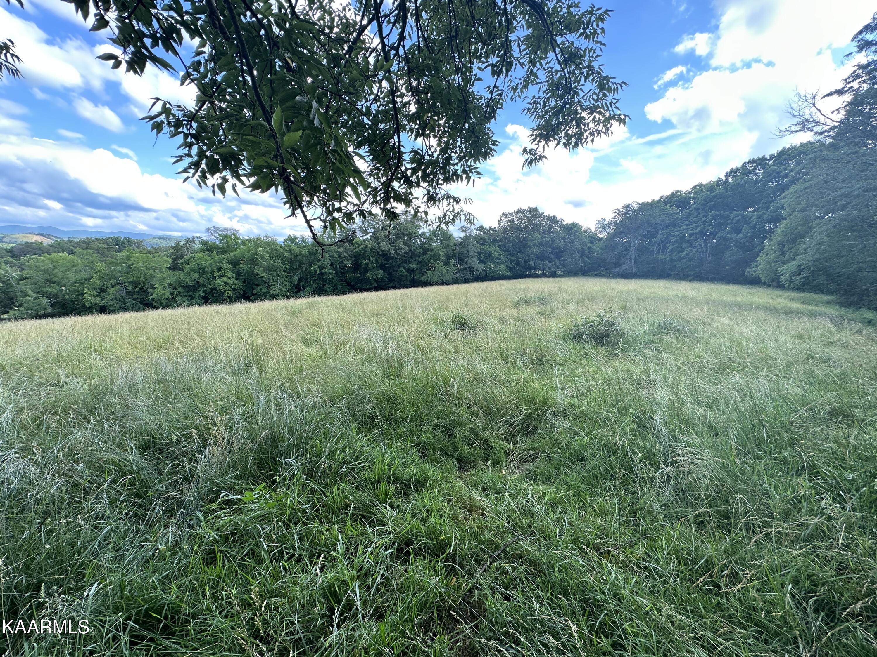 540 Industrial Road Newport, TN 37821 - Photo 14 of 40 IMG_0220