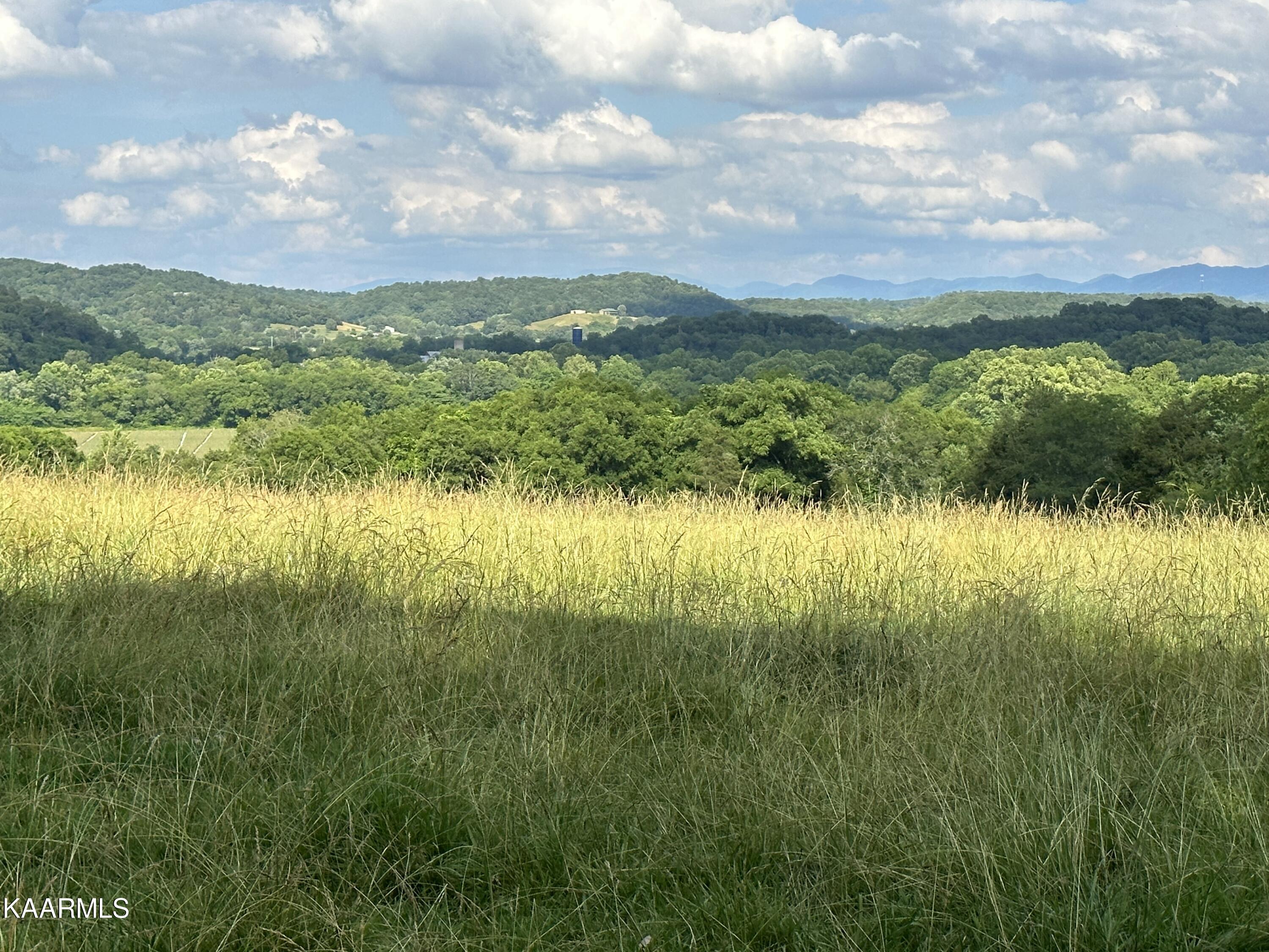 540 Industrial Road Newport, TN 37821 - Photo 17 of 40 IMG_0224