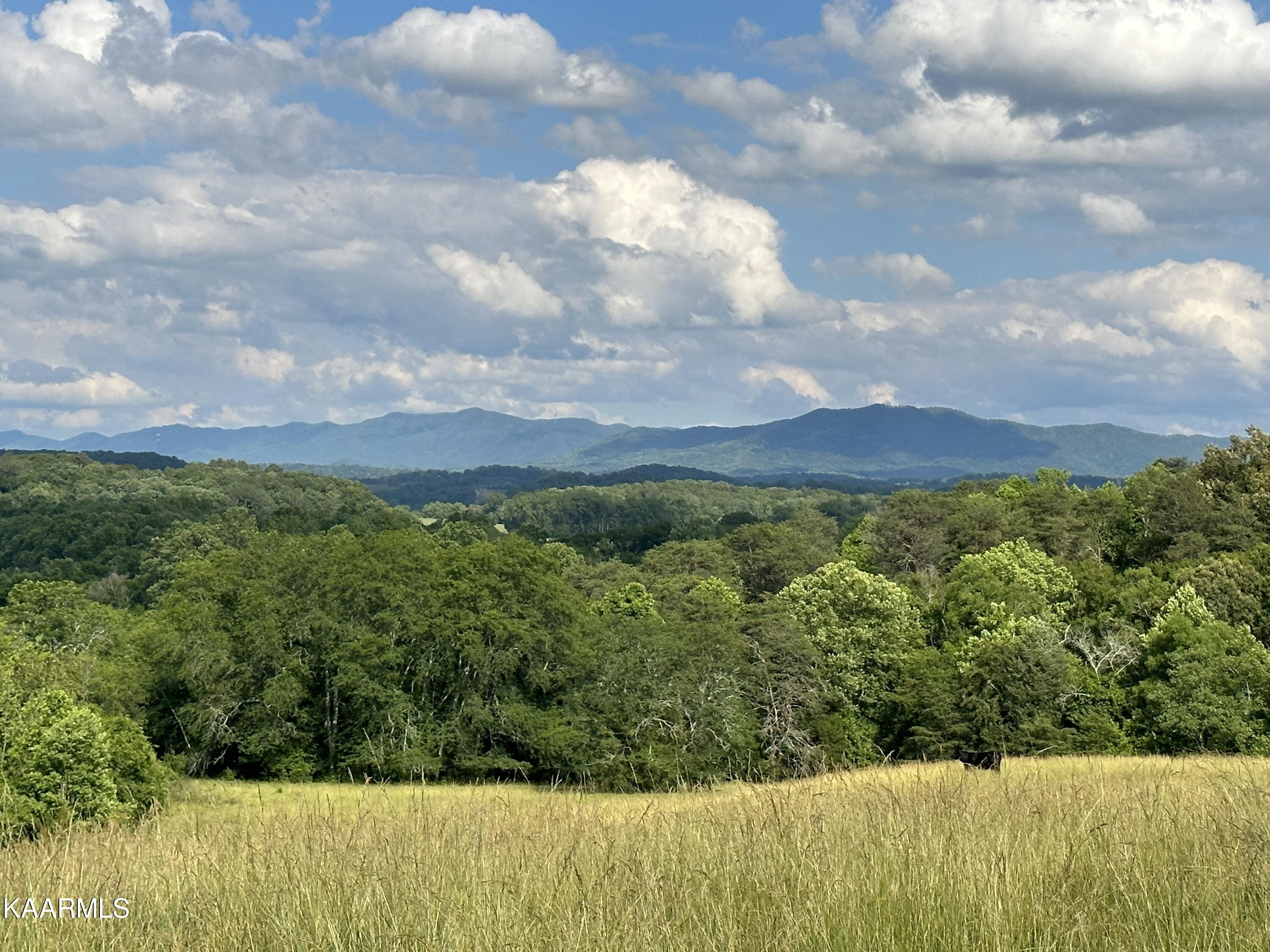 540 Industrial Road Newport, TN 37821 - Photo 19 of 40 IMG_0225
