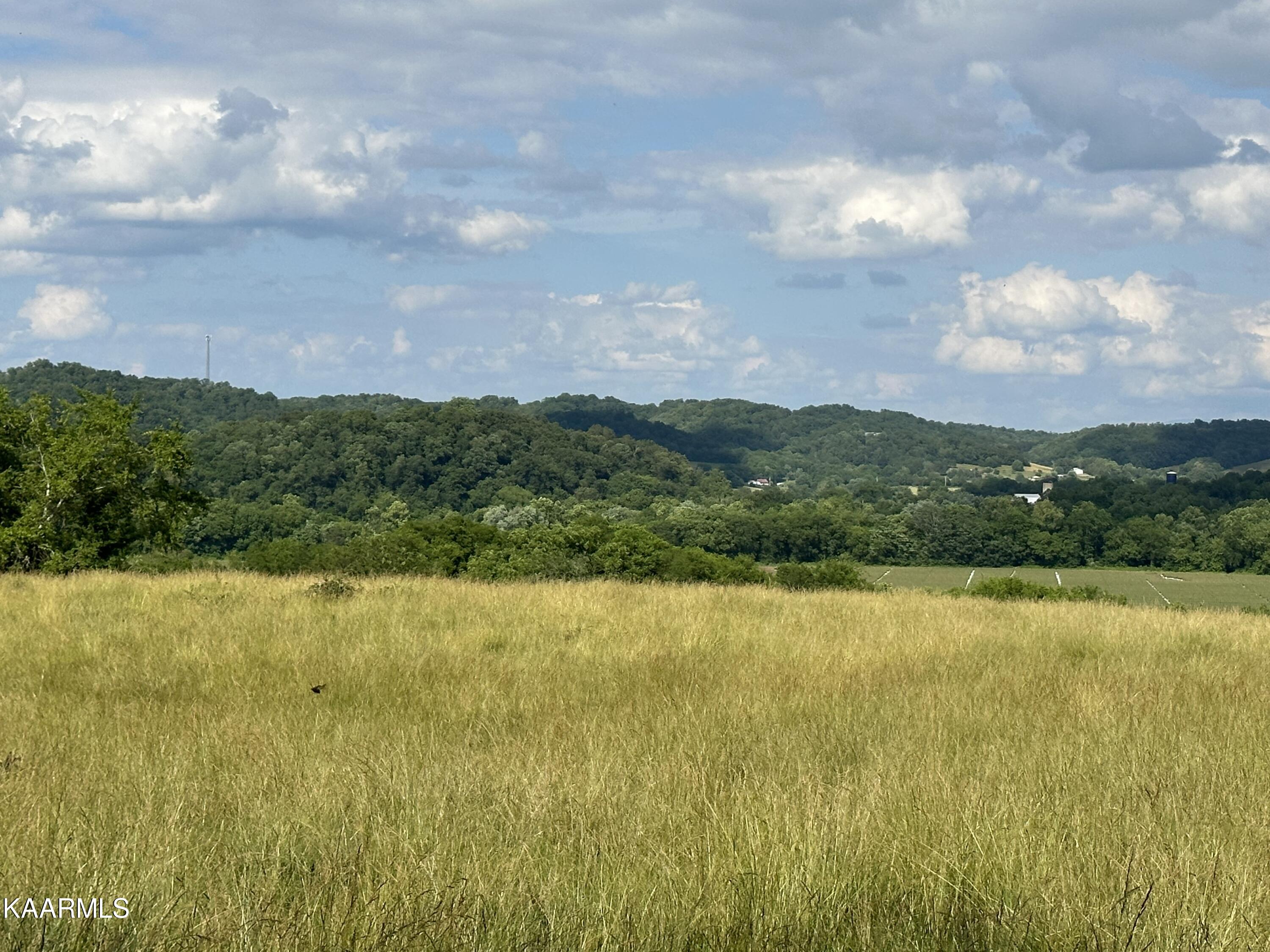 540 Industrial Road Newport, TN 37821 - Photo 21 of 40 IMG_0228