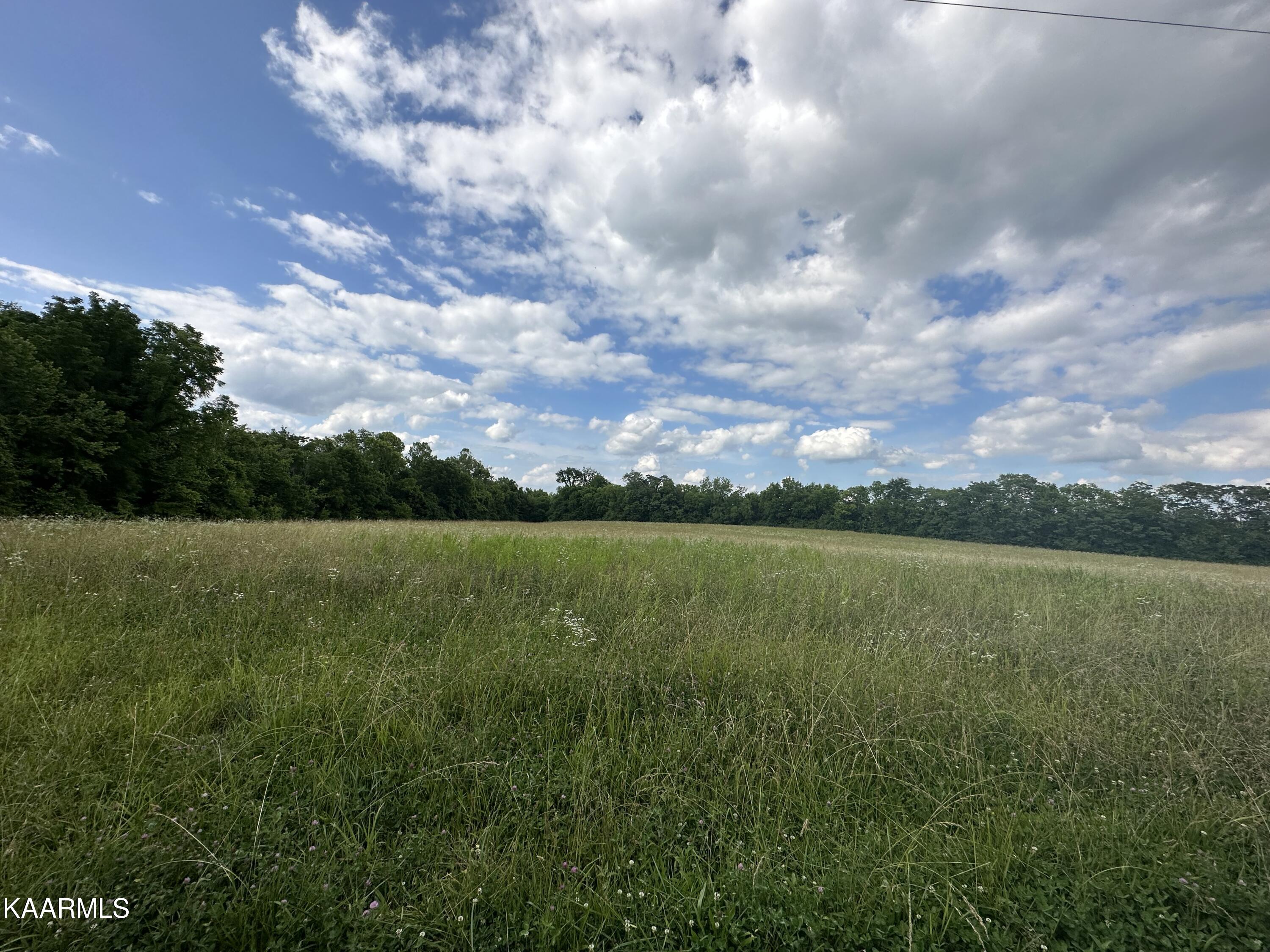 540 Industrial Road Newport, TN 37821 - Photo 3 of 40 IMG_0208