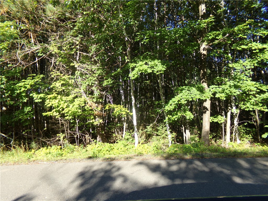 7581 South Marsik Road Lake Nebagamon, WI 54849 - Photo 1 of 1