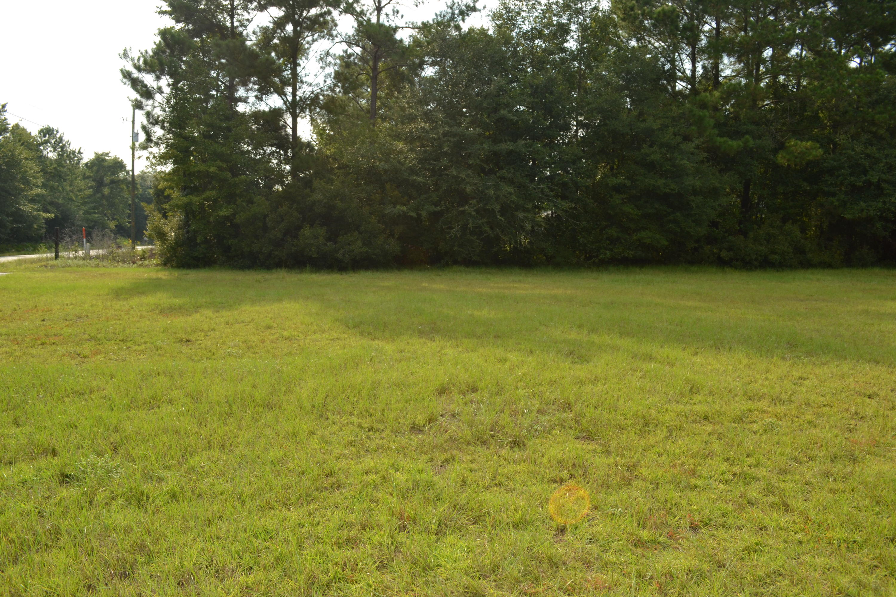 5634 Dixie Plantation Road Hollywood, SC 29449 - Photo 1 of 1 DSC_0121