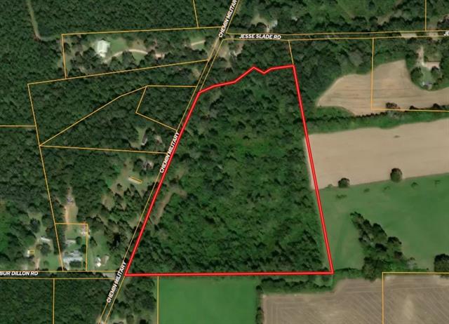 0 Military Road Angie, LA 70426 - Photo 2 of 4