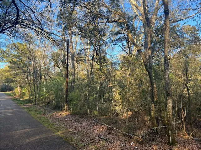 $95,000 | 0 Military Road, Angie, LA 70426