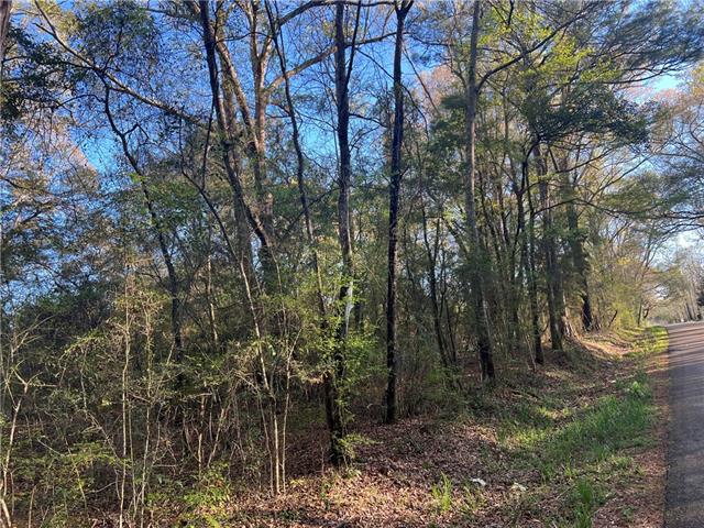 0 Military Road Angie, LA 70426 - Photo 3 of 4