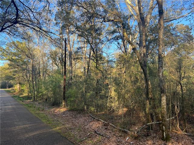 0 Military Road Angie, LA 70426 - Photo 4 of 4