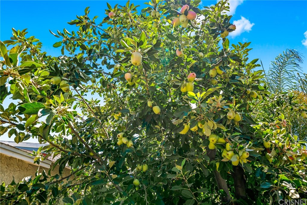 6660 Balcom Avenue Reseda, CA 91335 - Photo 26 of 27
