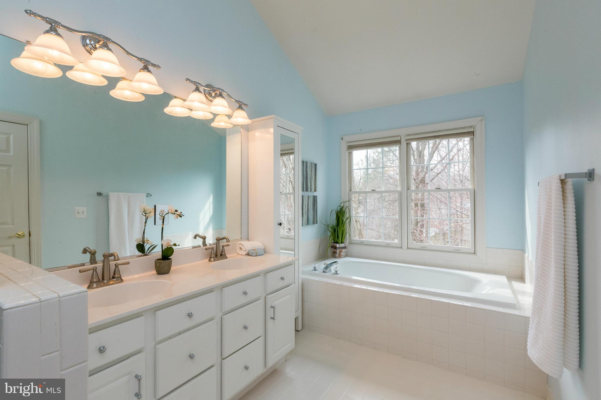 143 Roland Court Southwest Vienna, VA 22180 - Photo 20 of 29 Bath (Master)