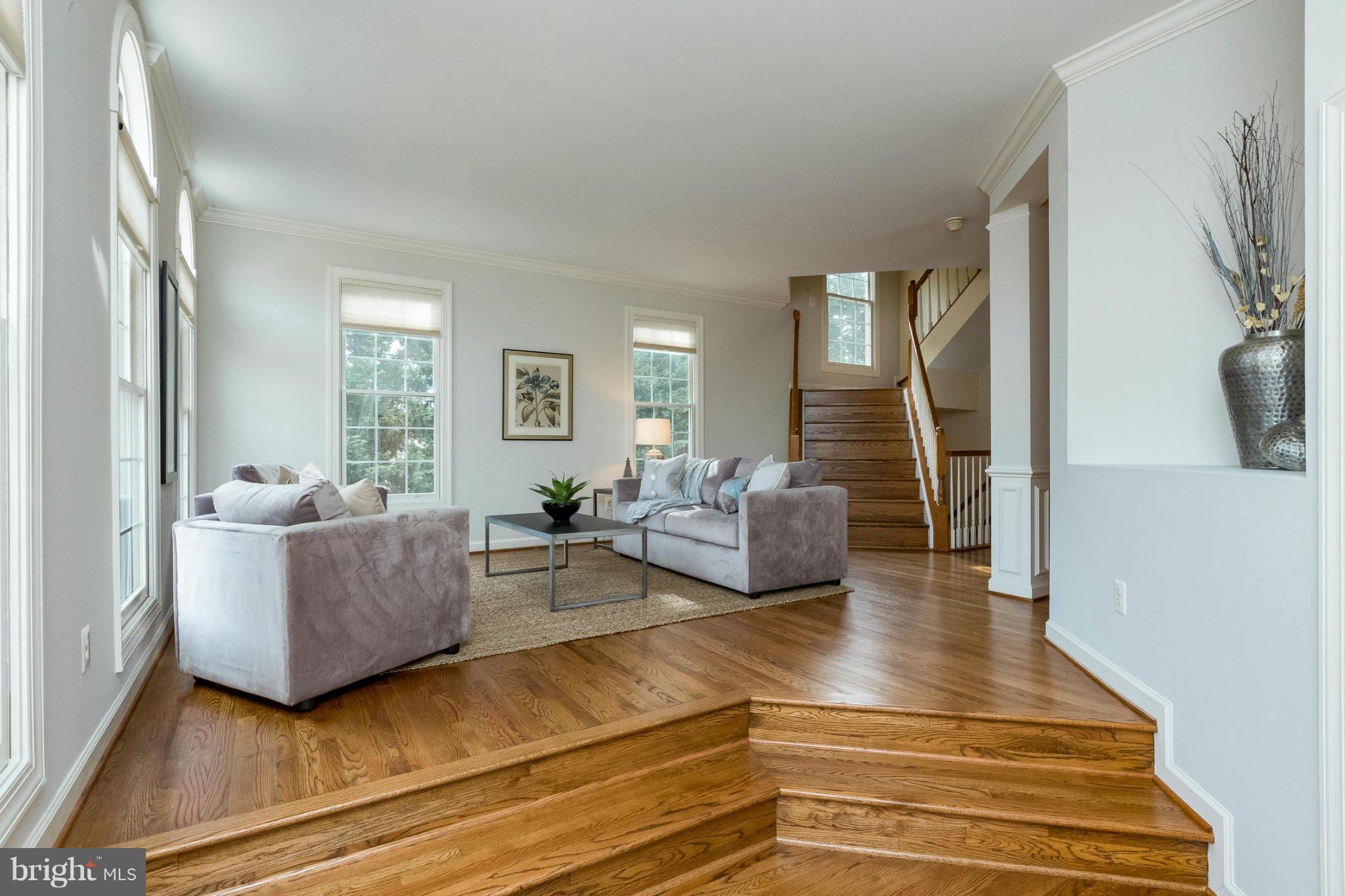 143 Roland Court Southwest Vienna, VA 22180 - Photo 29 of 29 view from Foyer open floor plan