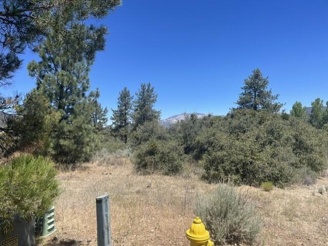 0 Devils Ladder Road Mountain Center, CA 92561 - Photo 8 of 10 Rothe lot.9