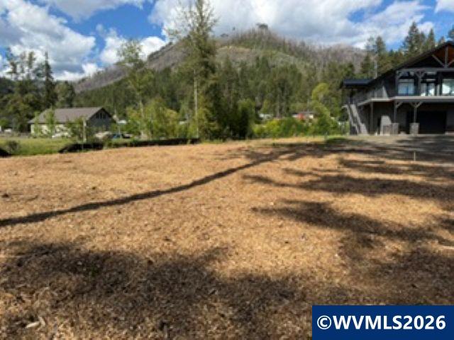 310 Detroit Road South Detroit, OR 97342 - Photo 5 of 17