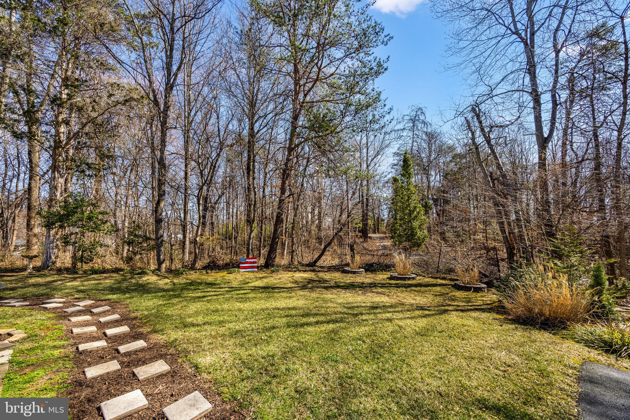 8504 Silverdale Road Lorton, VA 22079 - Photo 45 of 48 a view of outdoor space with trees