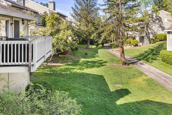 a view of a garden with pathway
