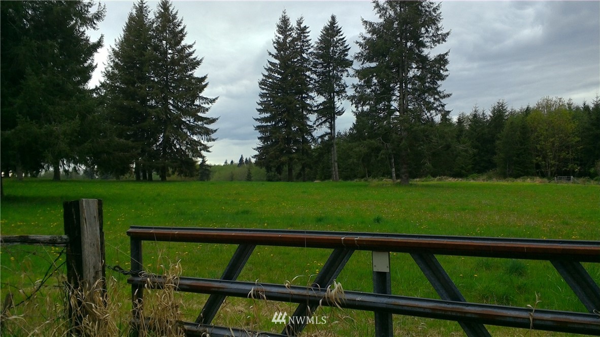 1 Burnt Ridge Road Onalaska, WA 98570 - Photo 2 of 4 Gallery Image 2